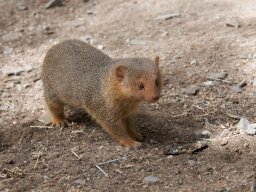 Western_Corridor2009-123